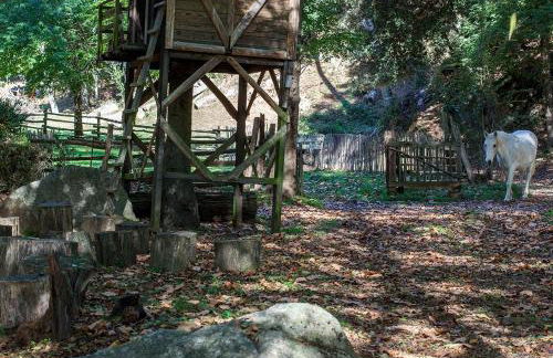 Masía El Moli de Can Aulet - Foto 42