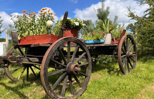 Domki Białogarda - Foto 71