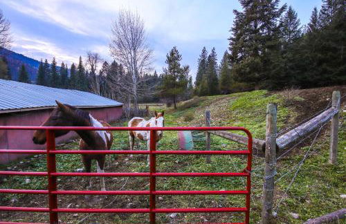 Serene DeBorgia Hideaway Hiking and Fishing Nearby - Foto 31