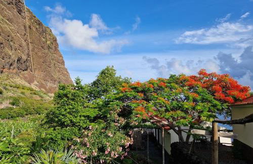 Fajã dos Padres - Foto 59