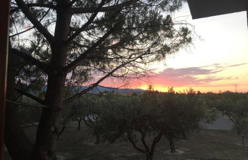 Phoenix Beachside Condos - Foto 51