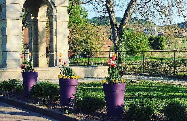 La Maison du Grand Four en Bourgogne, Au coeur de Vignes, Piscine et Sauna - Foto 48