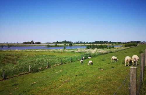 Ferienwohnung Schmidt, 95131 - Foto 6