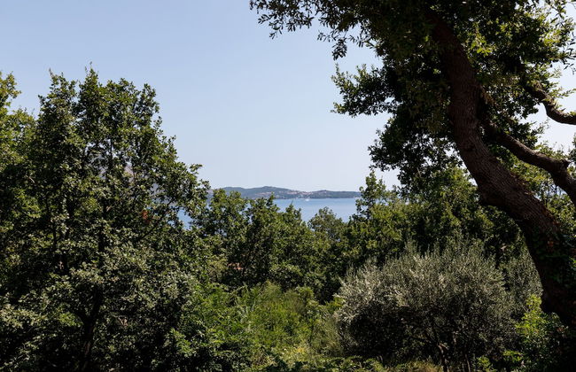 Apartment Nike - Foto 14