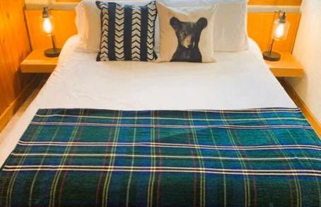 SPECTACULAR CATSKILLS 4 BEDROOM VACATION OASIS- Gorgeous Hunter Mountain Views! - Foto 9