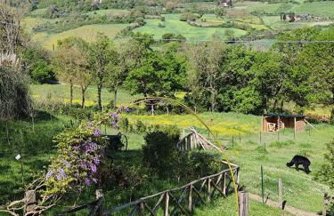 Agriturismo Tenute di Hera - Via Francigena - Foto 13