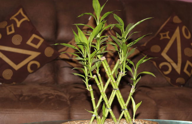 Natures Bliss Holidays - Photo 2