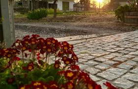 Casa da Oliveira - Foto 15