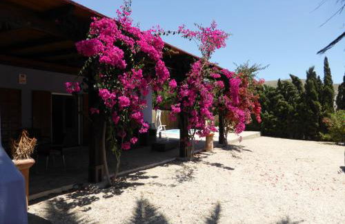 Cortijillo Violeta - Foto 11