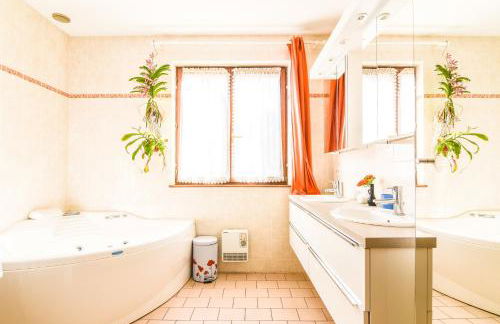 Maison de charme Haslach 300m2 Grand séjour 15 personnes - Belles vues ! - Foto 48