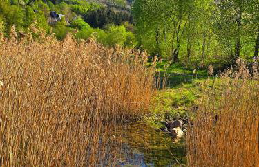 Ferienwohnungen Dorfliebe Dörnberg - Photo 15