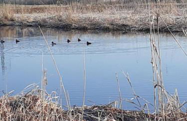 Les Gîtes Du Pré Nouveau - Foto 27