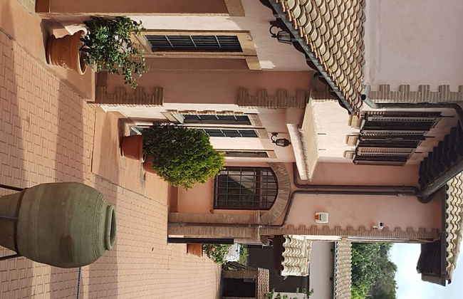 Azienda Agricola Sinisi - Foto 23