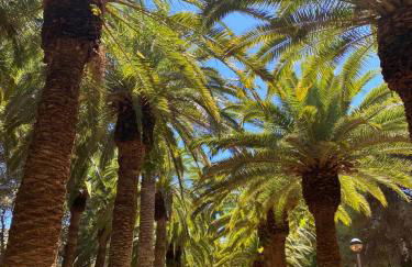 Coves Noves Nice apartment of 75 m2 10 minutes walk from the beach of Arenal d'en Castell - Foto 37