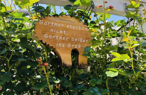 Haus Zeller - Foto 12