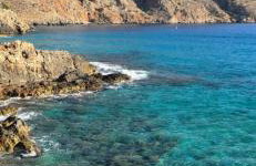 Casa Violeta by 8essentially - Photo 71