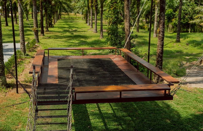 High Tree Resort Co.,Ltd. - Photo 41