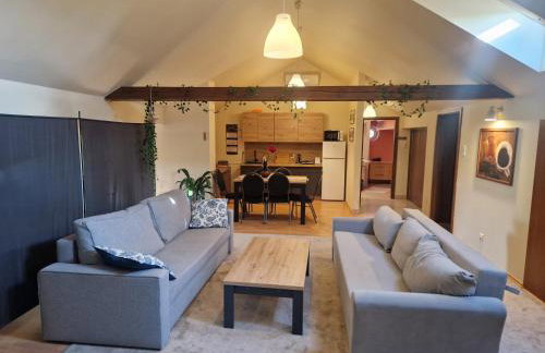 Noclegi Opole-Chmielowice Apartament C - Foto 8