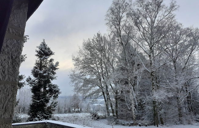 Large Hunting Lodge With Enormous Beautiful Garden - Photo 31