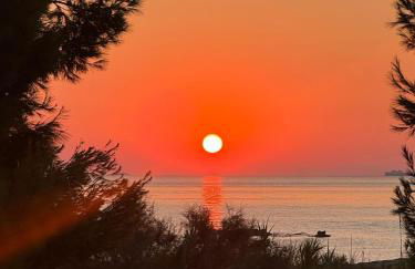 Acqua di Mare - Foto 13