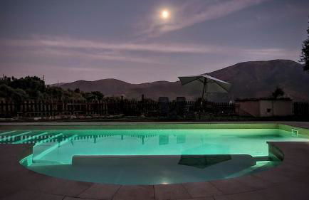 Tropical Studio - Foto 6