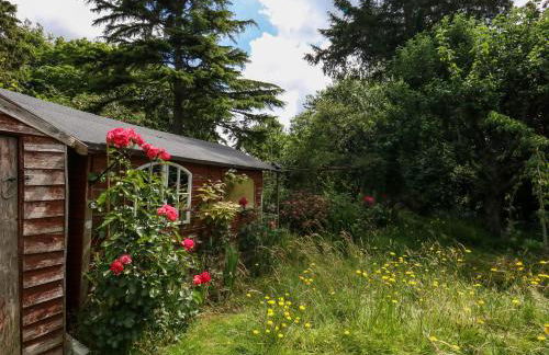 Little Timbers - Foto 39