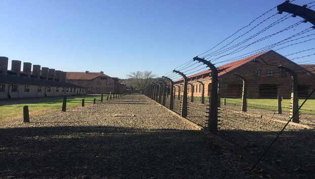 Excursión de un día completo a Auschwitz-Birkenau desde Varsovia en tren - Foto 3