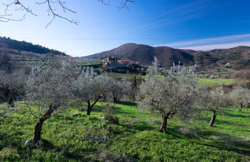 Agriturismo Il Ponticello - Foto 6