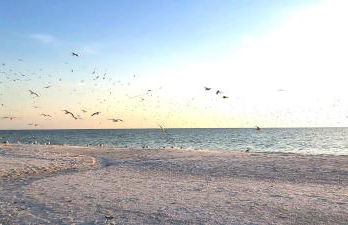 Sunset Vistas 501W - Foto 26