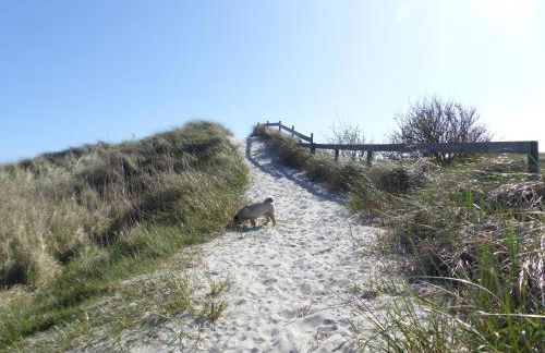 Captain Baack - Foto 25