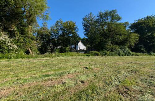 Glanduad Fawr - Foto 47