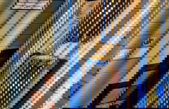 Emlyn's Coppice - Woodland Glamping - Foto 29