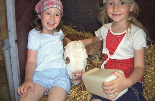 Ferienhof Schlag - Foto 11