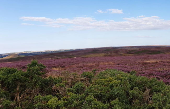 6m xl Bell Tent, Near Whitby, With log Burner - Foto 15