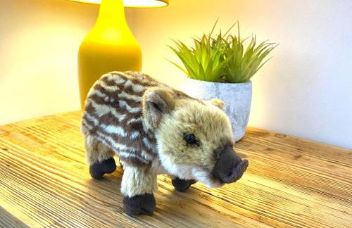 Humbug House - Foto 18