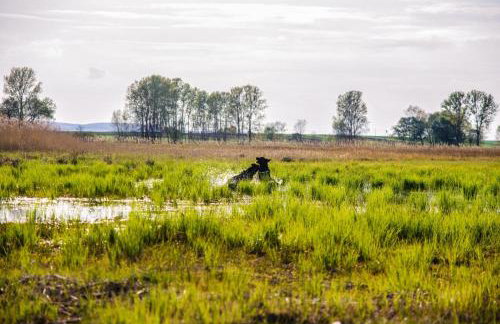 Wygodny Dom na Ponidziu z Basenem - Foto 36
