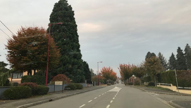 Taxi chauffeur privé Strasbourg - Molsheim - Photo 3