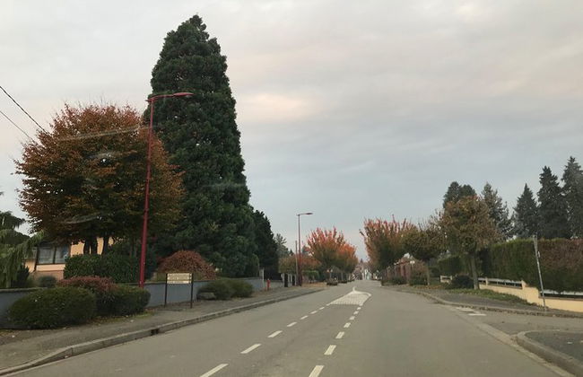 Taxi chauffeur privé Strasbourg - Molsheim - Photo 3