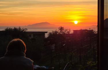 N'haidea - AgriFarm e B&B - Foto 18