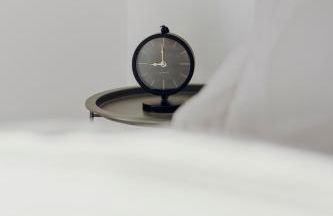 Allgäu-FeWo-Niso - Foto 12