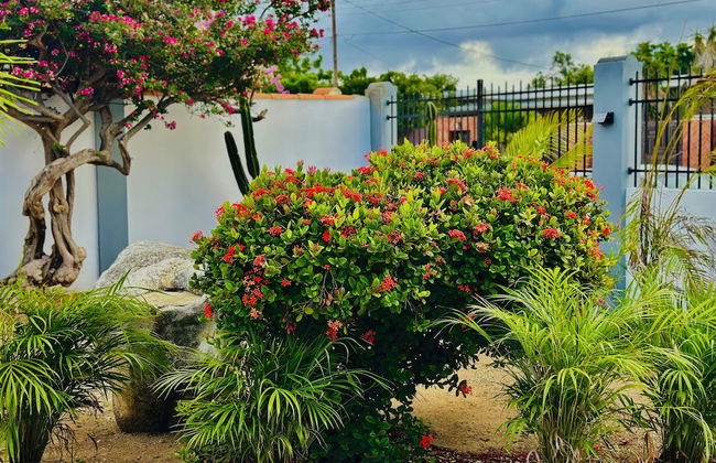 Eagle Stays Aruba - Foto 53