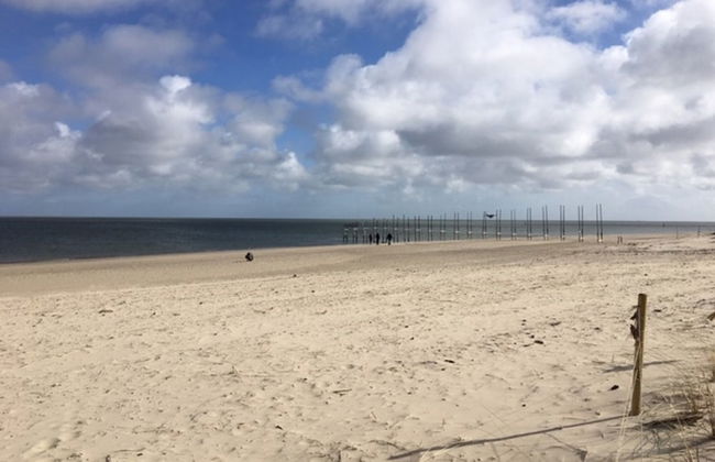 Pet-friendly Texel Escape - Foto 18