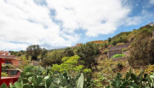 La casa de Amalia - Foto 4