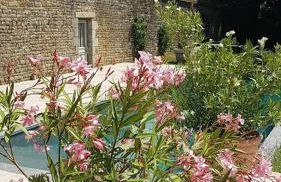 Chateau du Plessis Bochard - Photo 10