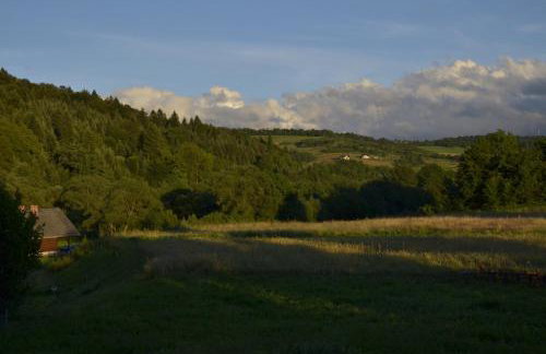 Agroturystyka Wilkowyja - Foto 34