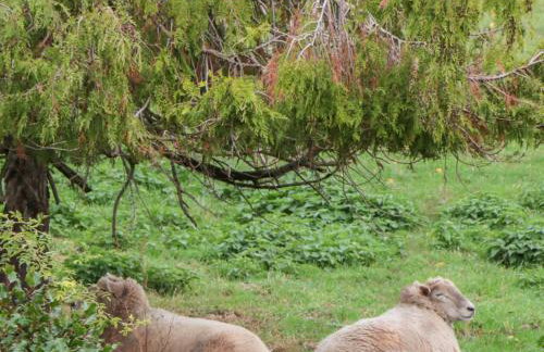 Celia's View - Foto 33