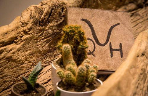 Masseria Straziuso - La Vaccariccia - Foto 75