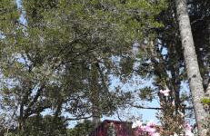 Recanto das Gralhas - Foto 3