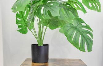 Stylish 2BR Near Union Market & Metro - Foto 13