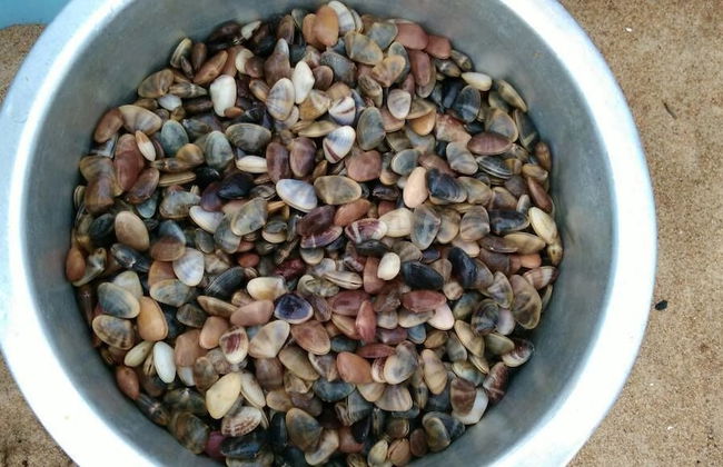 D'Pantai Homestay Kuala Sg. Baru - Photo 29